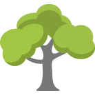 Fayetteville Tree Removal